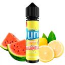Juni Watermelon Lemon 60мл — Рідина для вейпа (органічний нікотин)