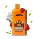 Elf Bar 23000 Jasmine Raspberry — Одноразовая POD-система